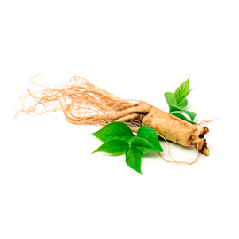 Complément alimentaire à base de Ginseng