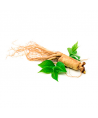 Complément alimentaire à base de Ginseng