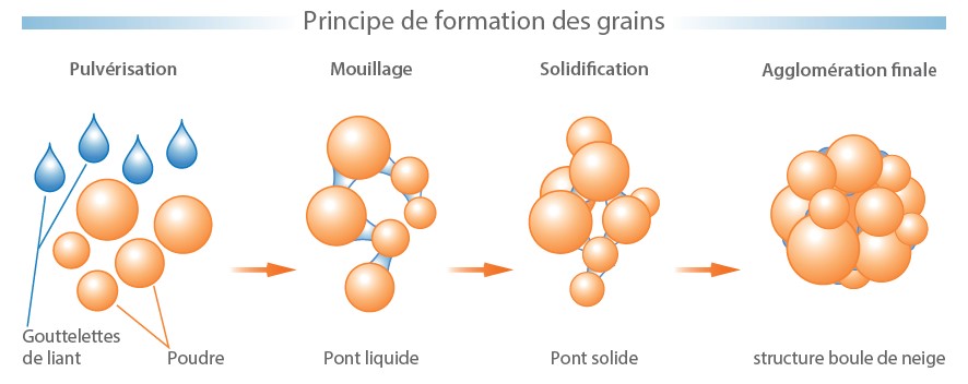 granulation-ygie.jpg